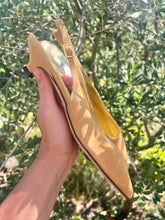 Lade das Bild in den Galerie-Viewer, Maxima - Mustard